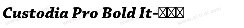 Custodia Pro Bold It字体转换